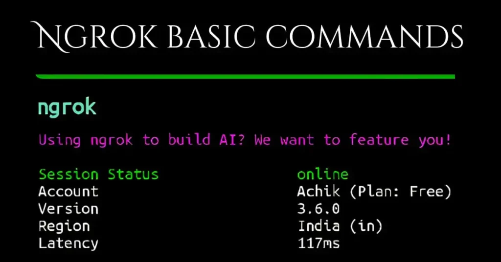 Ngrok basic commands